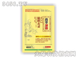 春成偉業(yè) 攜手共拓中藥材田除草新藍(lán)?！獋I(yè)通招商啟航